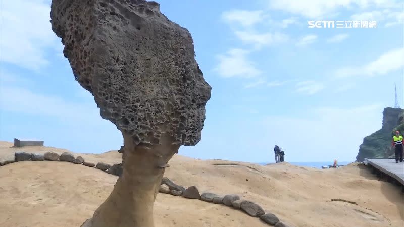  野柳女王頭脖圍年少近2公分，被擔心不久後斷頸。（圖／資料畫面）