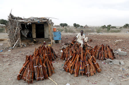 A firewood vendor waits for customers on the side of a road to the village of al-Jaraib, in the northwestern province of Hajjah, Yemen, February 18, 2019. REUTERS/Khaled Abdullah