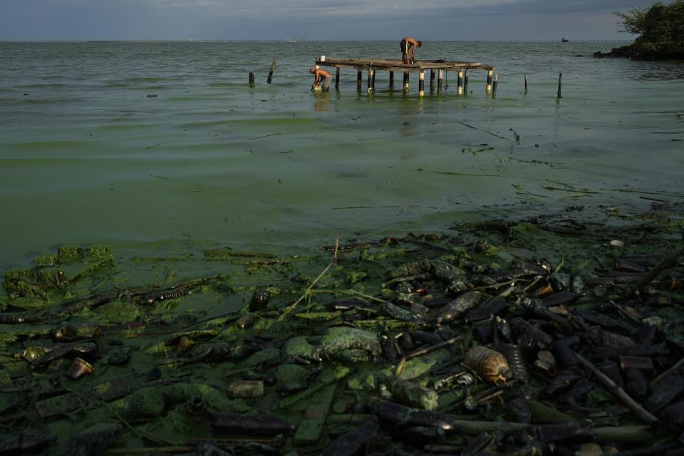 A thick greenish film covers trash and plastics polluting the waters of Lake Maracaibo, as fishermen prepare their bait in the background, in Maracaibo, Venezuela, Thursday, Aug. 10, 2023. The pollution around the lake, one of Latin America's largest, is the result of decades of excessive oil exploitation on its bed, inadequate maintenance, and a lack of investment to improve an already obsolete infrastructure, according to environmentalists. (AP Photo/Ariana Cubillos)