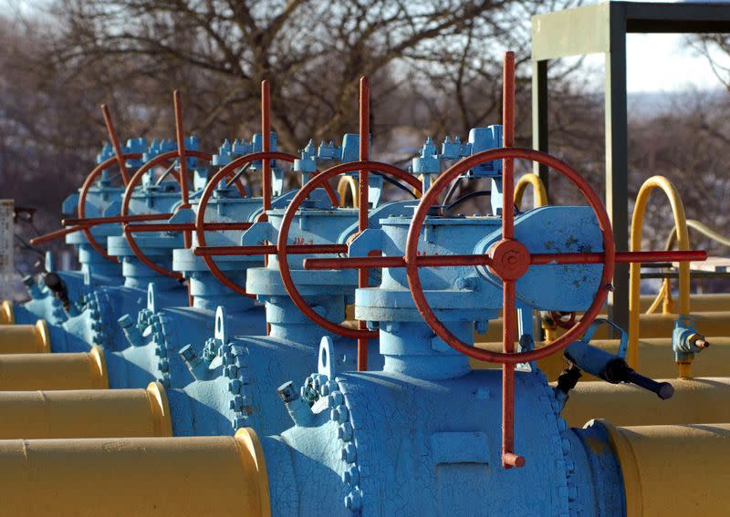 FILE PHOTO: General view of gas station near border between Ukraine and Poland in settlement of Drozdovychi