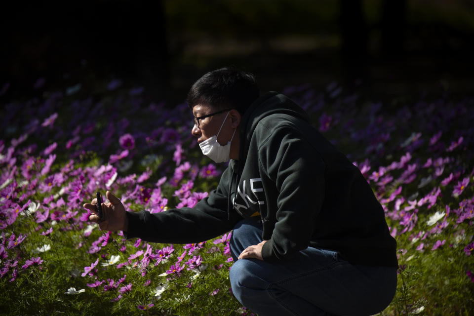 A man wearing a face mask to protect against the coronavirus takes a photo of blooming flowers at a public park in Beijing, Saturday, Oct. 24, 2020. With the outbreak of COVID-19 largely under control within China's borders, the routines of normal daily life have begun to return for its citizens. (AP Photo/Mark Schiefelbein)