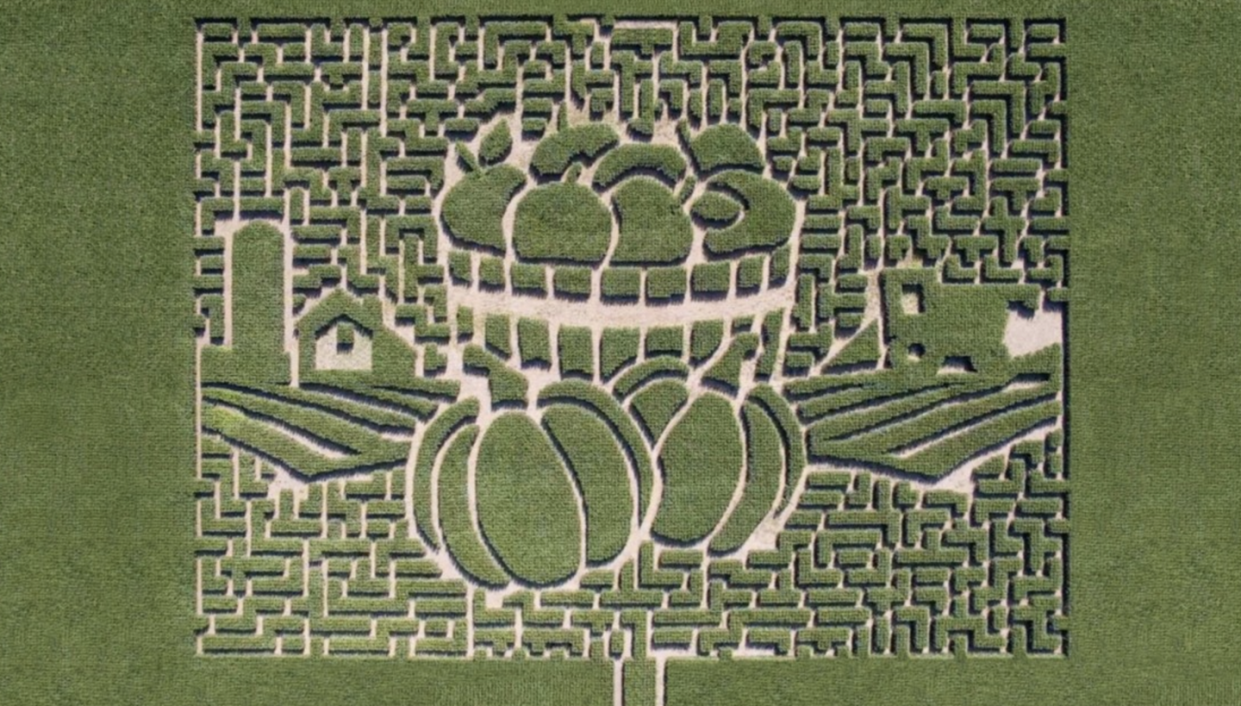 best corn mazes