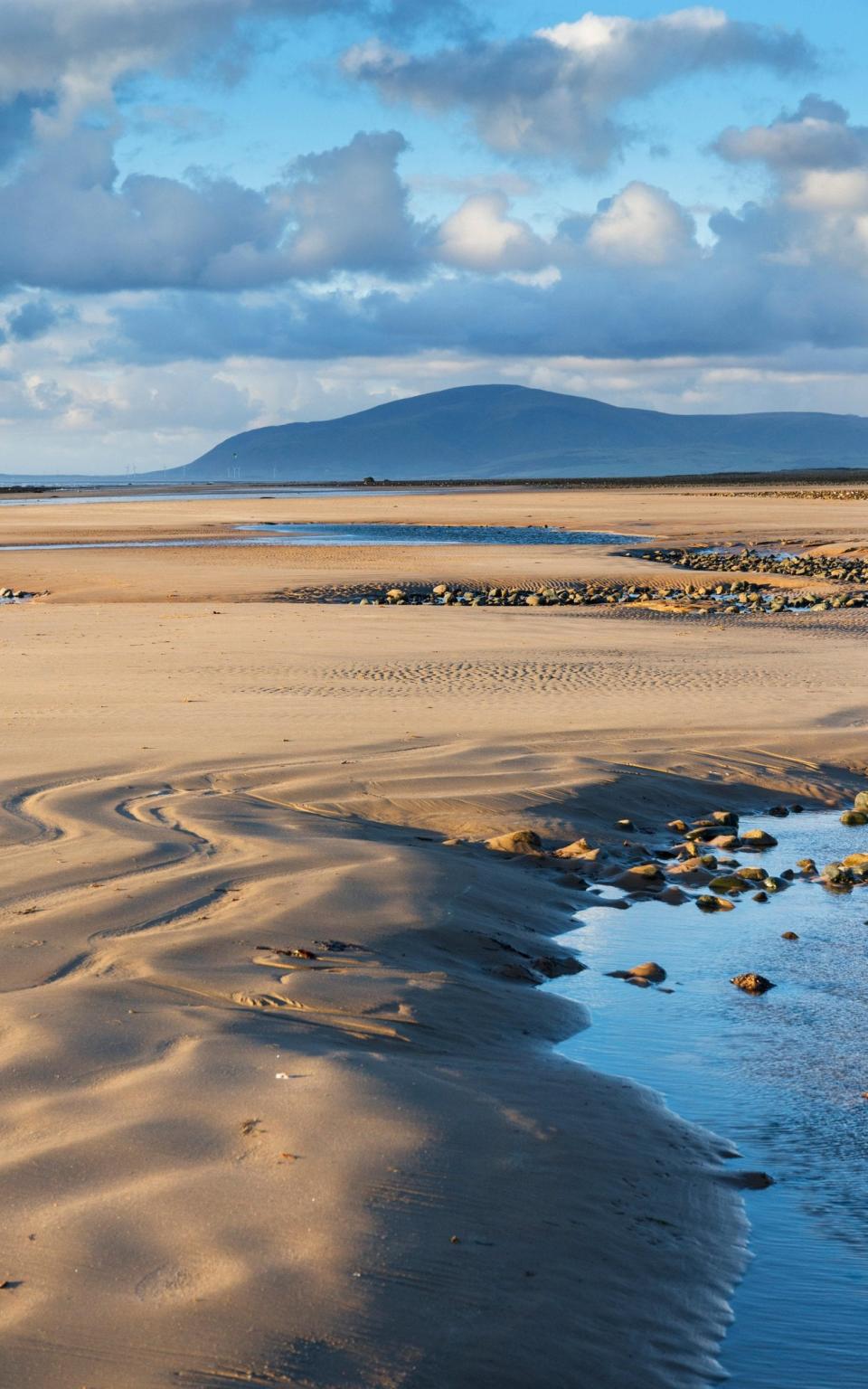 Walney has nature reserves and a coast path - BRIAN ORMEROD PHOTOGRAPHER / Alamy Stock Photo