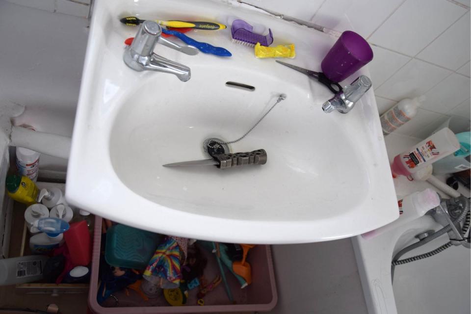 The dagger used to murder Fitzgerald was found in her Grove’s sink (Hampshire Police)