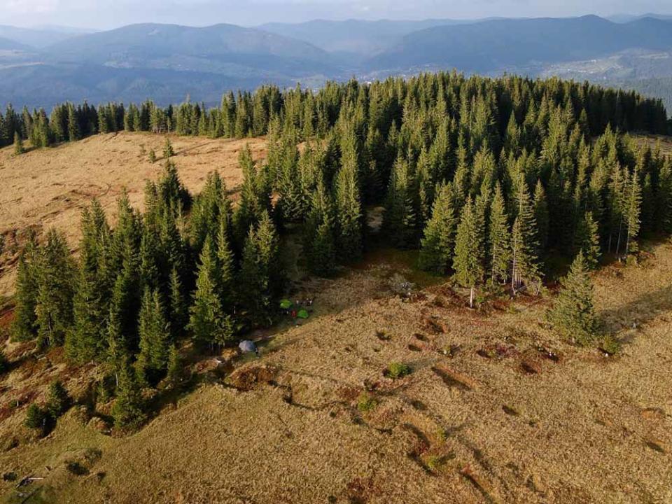 Drone footage taken by Norbert showing their campsite above the outline of what are thought to be WWI trenches (PA Real Life)