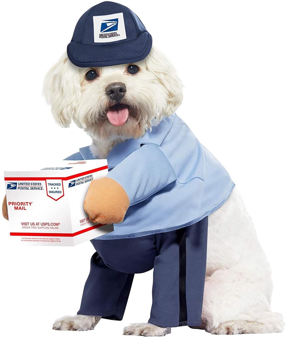 Dog Mail Carrier Costume USPS