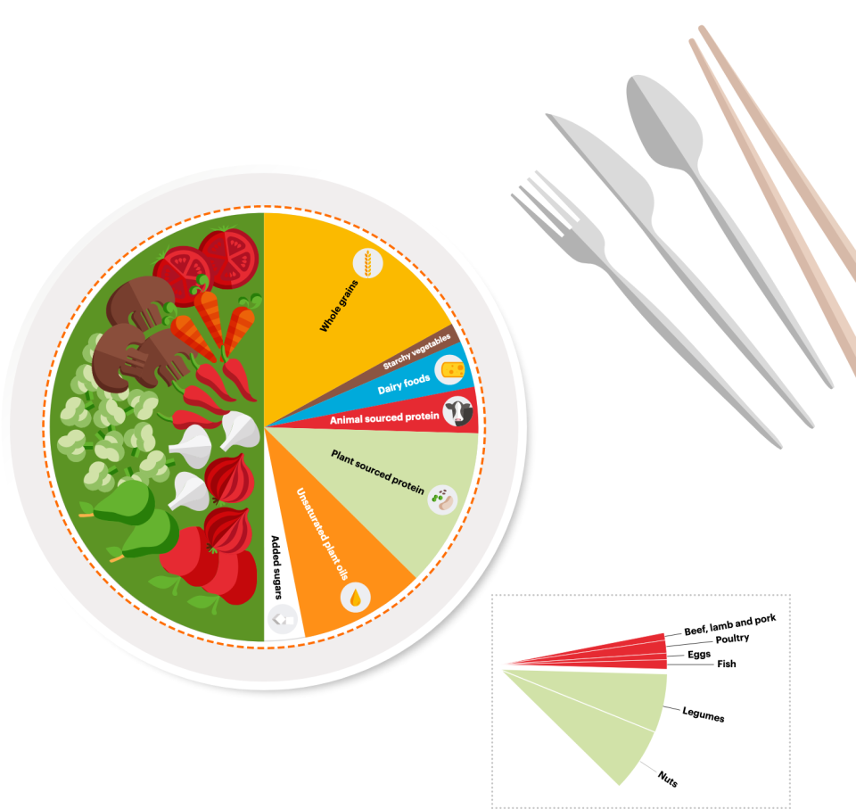 A  planetary  health  plate  should  consist  by  volume  of  approximately  half  a  plate  of  vegetables  and  fruits, according to experts. Photo: EAT-Lancet Commission