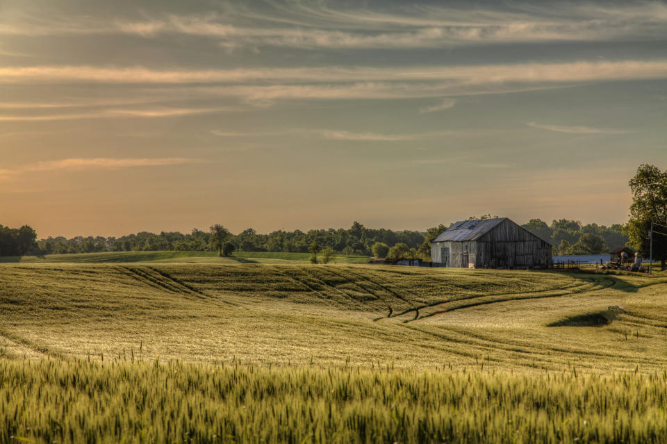 A wheat farm in midwestern USA.