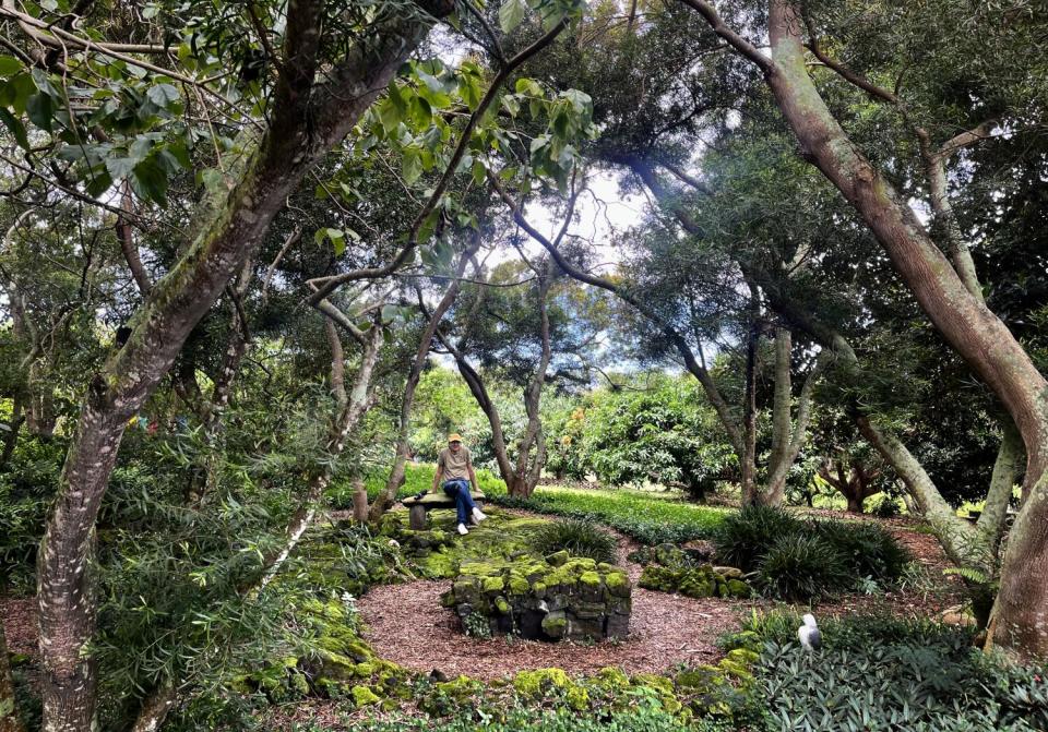 Jon Lomberg at Paleaku Gardens Peace Sanctuary in Captain Cook, Hawaii, home to the first licensed Galaxy Garden.