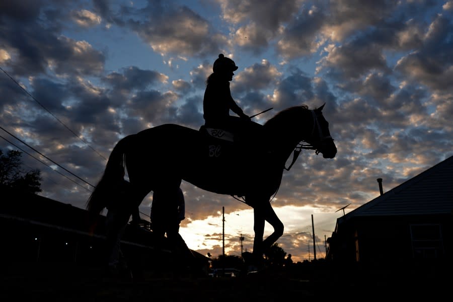 A horse heads back to a barn after an early-morning workout at Churchill Downs Wednesday, May 1, 2024, in Louisville, Ky. The 150th running of the Kentucky Derby is scheduled for Saturday, May 4. (AP Photo/Charlie Riedel)