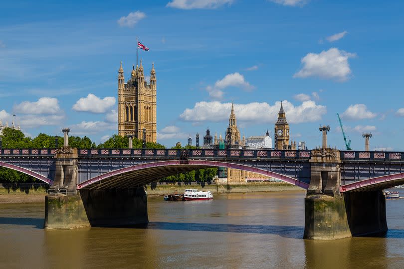 Dolphins have made their way into the River Thames