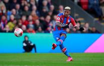 Premier League - Crystal Palace v Newcastle United