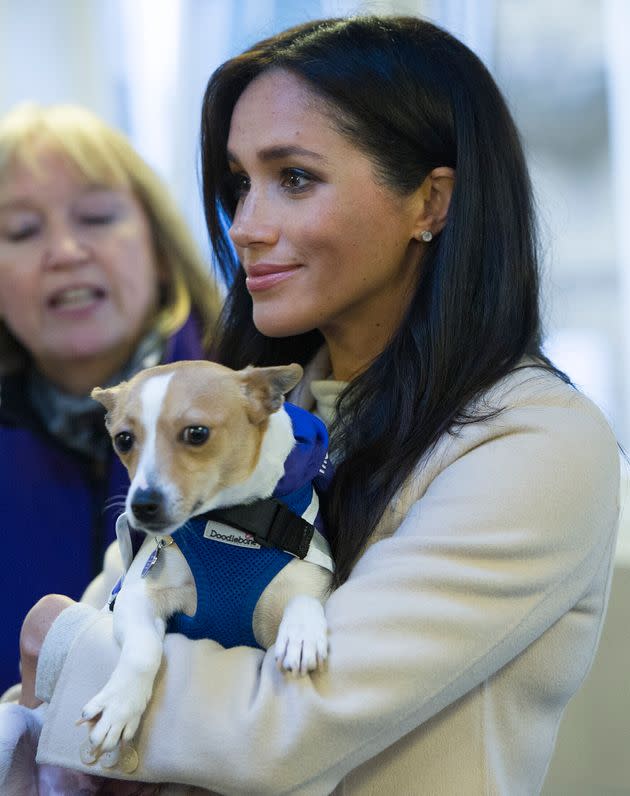 The Duchess of Sussex meets a Jack Russell named Minnie during a visit to the Mayhew, an animal welfare charity, on Jan. 16, 2019, in London. (Photo: WPA Pool via Getty Images)