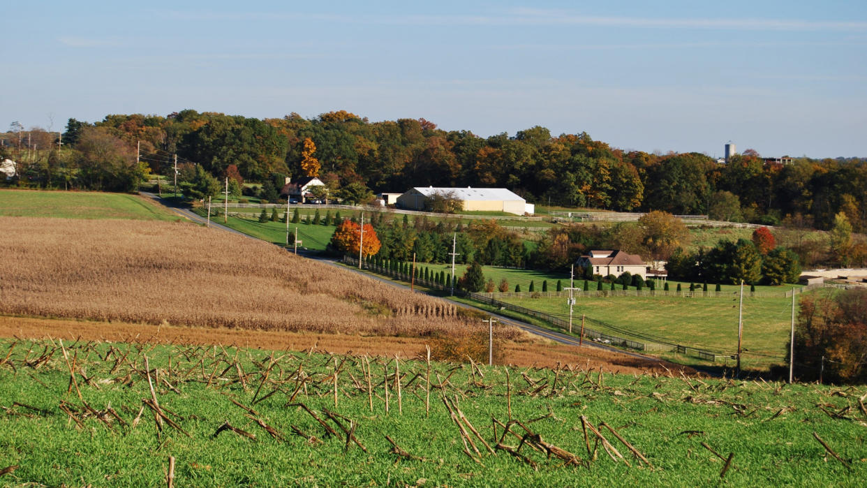 Farm Field in Clarksburg during Fall Season , MD USA - Image.