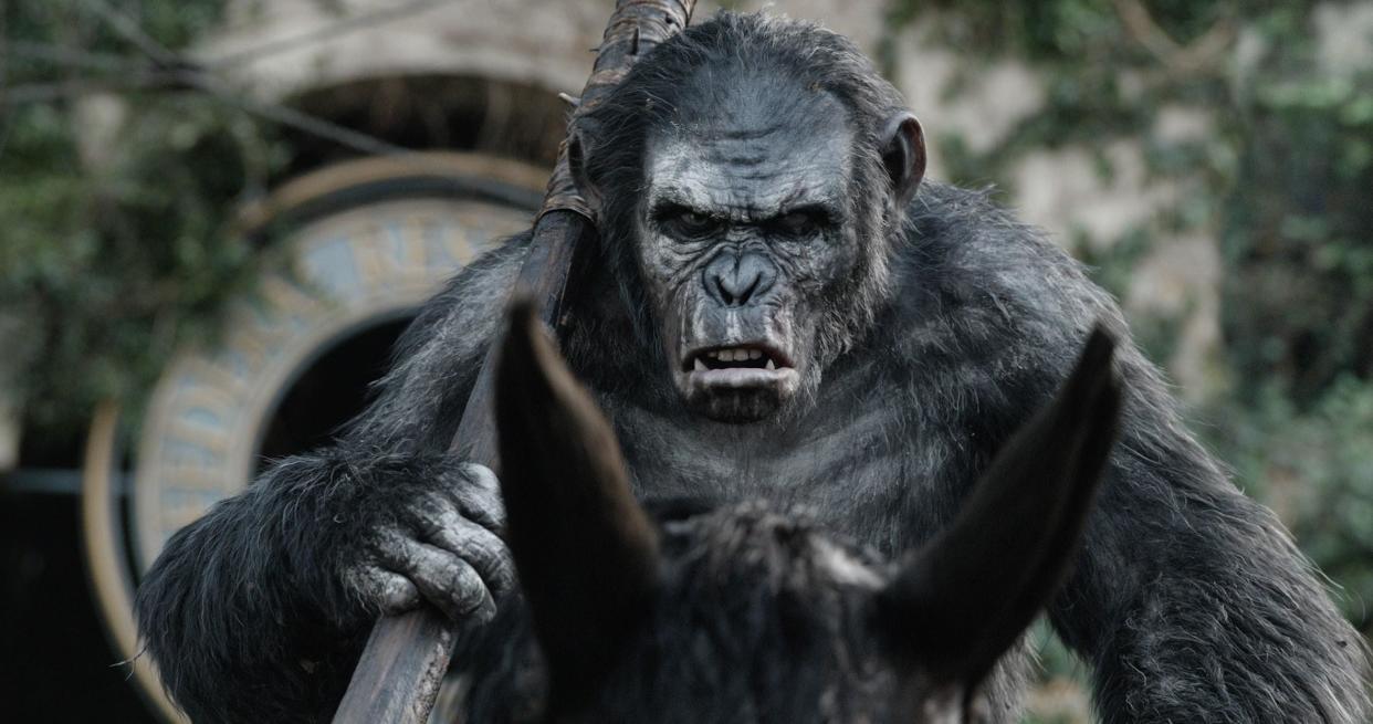 Koba in a scene from Dawn of the Planet of the Apes