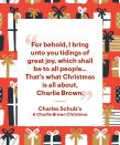 <p>“For behold, I bring unto you tidings of great joy, which shall be to all people… That’s what Christmas is all about, Charlie Brown.”</p>