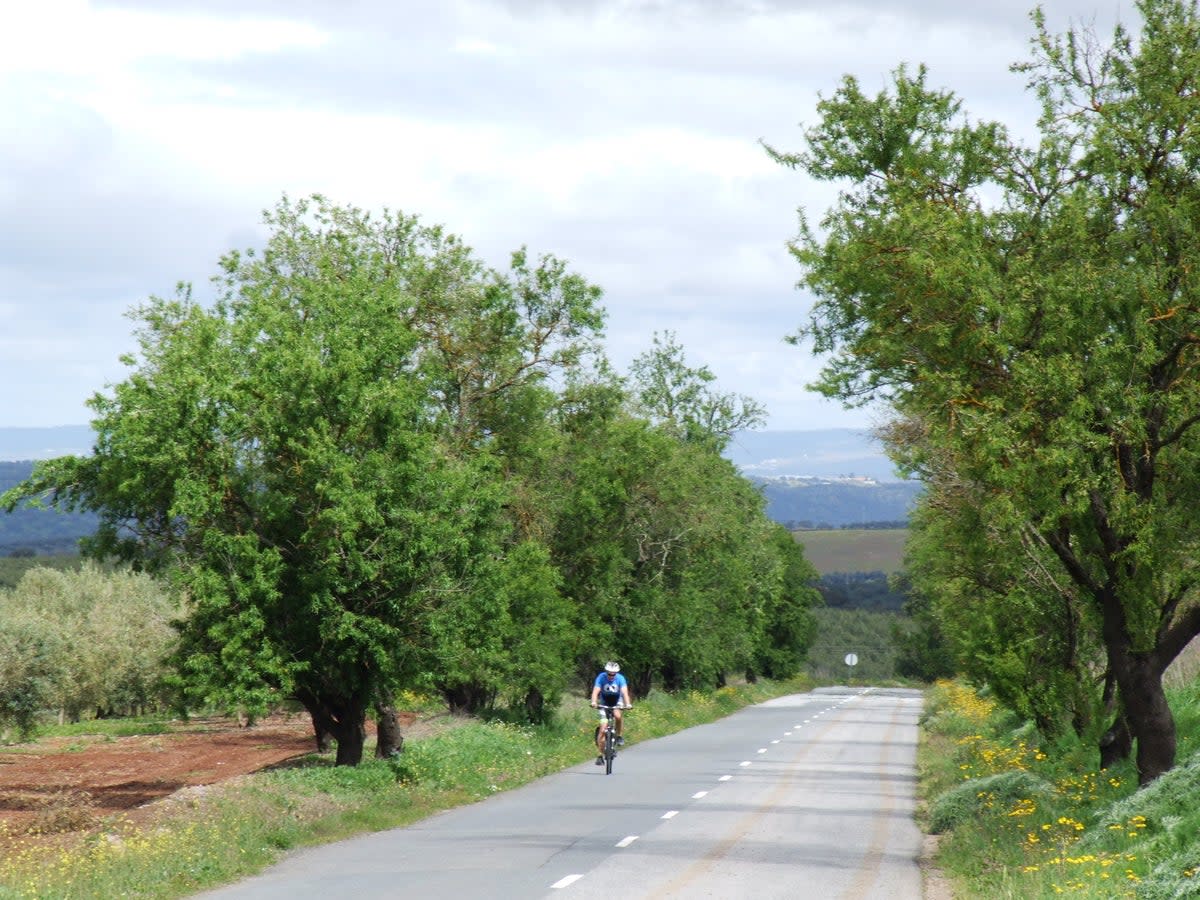 On the way to Serpa (Huw Thomas)