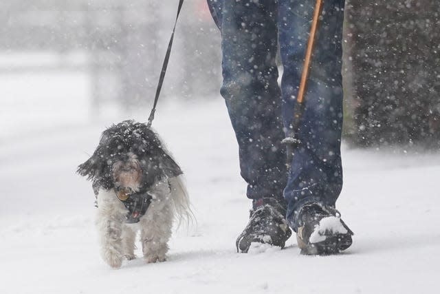 A man walks a dog through a snow flurry in Lenham, Kent