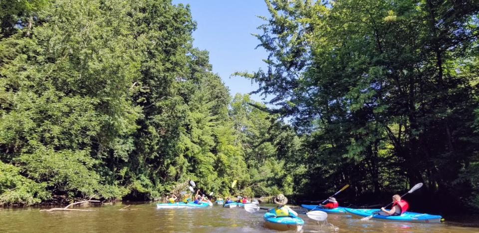 How fun it is to kayak up the Black River enjoying ducks, king fishers, and occasional osprey all within sight of Holland homes and businesses.