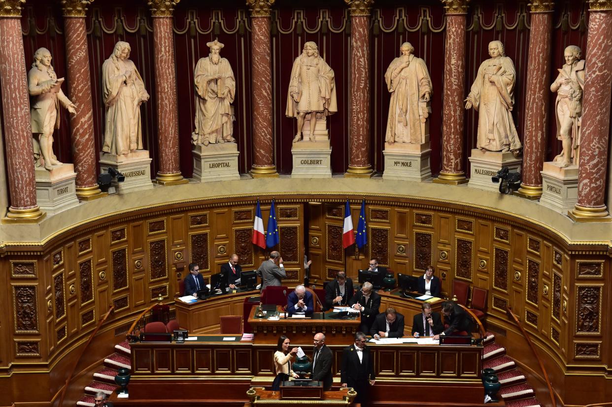 <p>The French Senate passed the bill with 208 votes for and 109 votes against</p> (AFP via Getty Images)