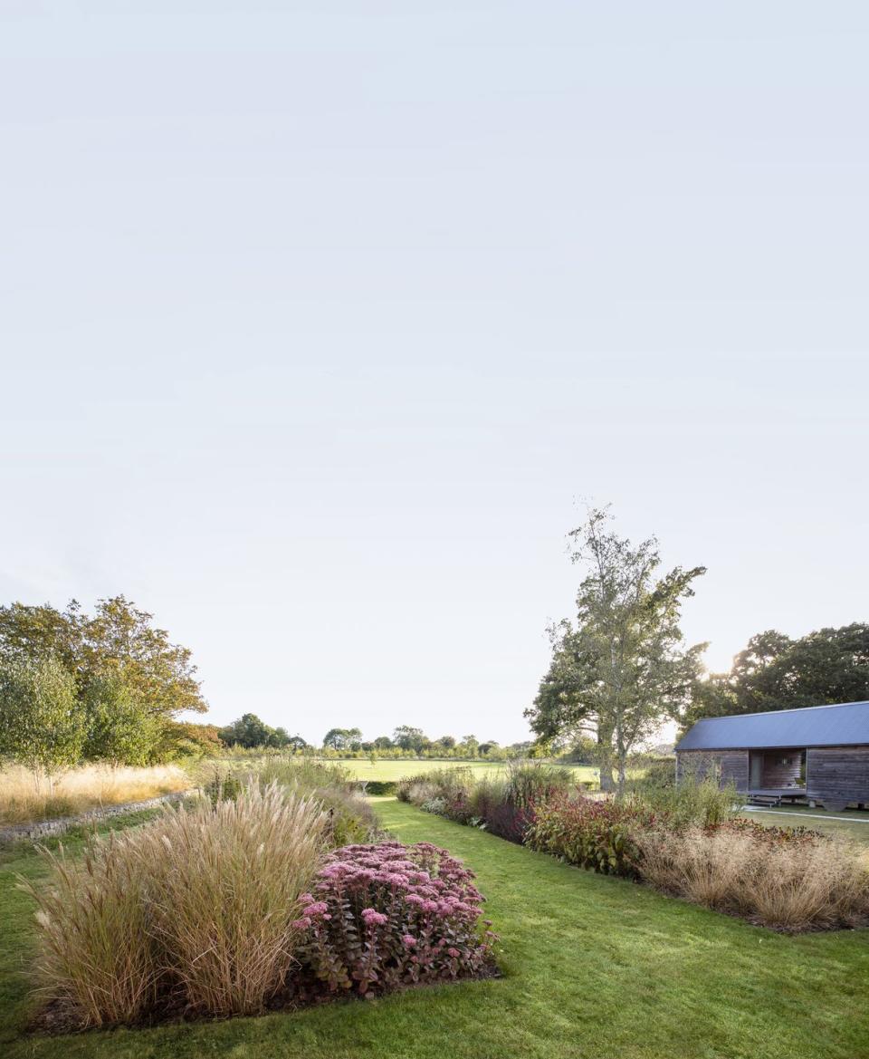 home in east sussex, england design by emma burrill wispy grasses like warrior, karl foerster, and goldtau varieties, mixed with pink autumn stonecrop and other sedum, form playful corridors for wildlife