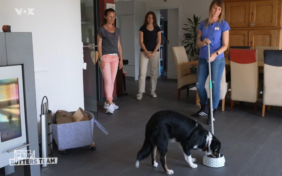 Trainer Ramona Houscht checkt ab, wie weit Pepper gehen würde. (Bild: RTL)