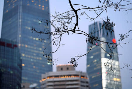 Branches are pictured in front of buildings in Beijing's central business area, China December 14, 2017. REUTERS/Jason Lee