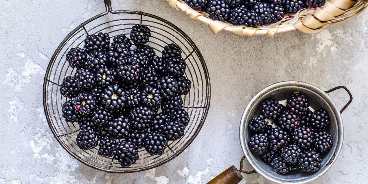 how to forage blackberries