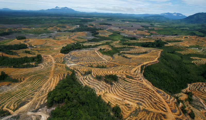 FILE PHOTO: An aerial view is seen of a cleared forest area under development for palm oil plantations in Kapuas Hulu district of Indonesia's West Kalimantan province