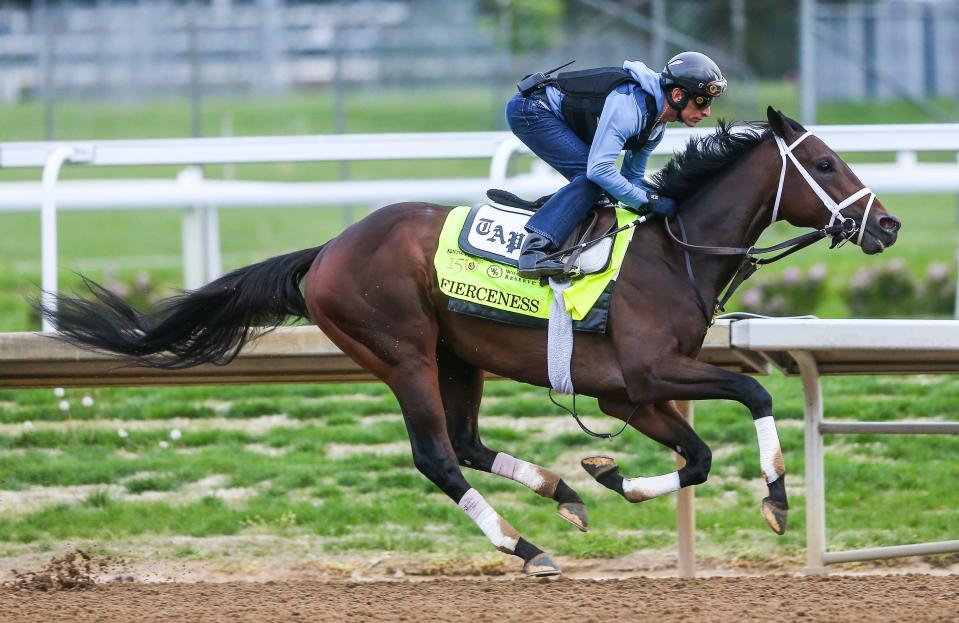 Kentucky Derby contender Fierceness works with jockey John Velazquez during training Friday morning at Churchill Downs April 26, 2024 in Louisville, Ky.