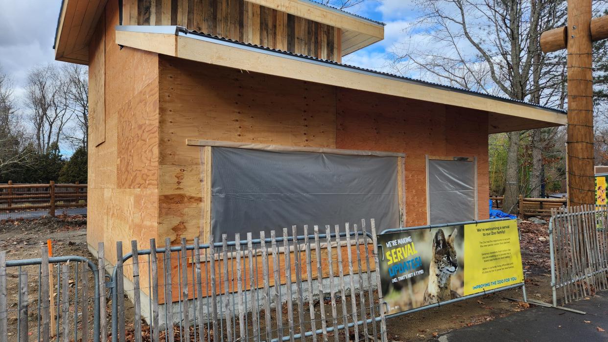 A home for the servals is under construction at Roger Williams Park Zoo.