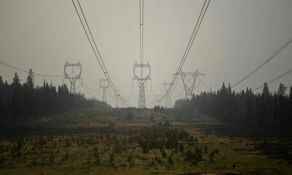 <span>Photograph: Mathieu Lewis-Rolland/Reuters</span>