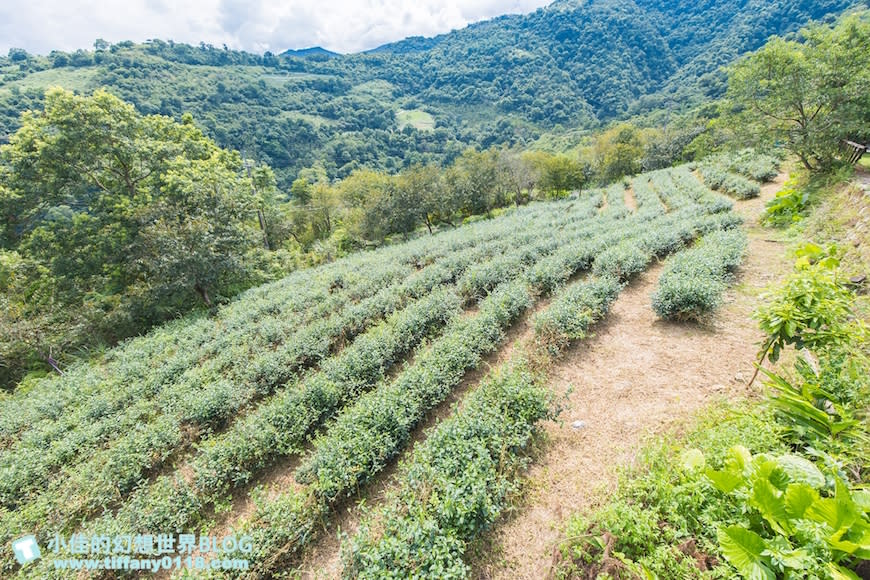 宜蘭｜雅廬景觀渡假別墅