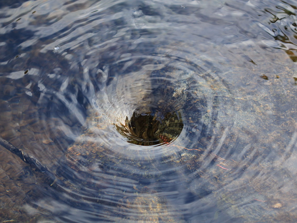 Whirlpool Water Drain