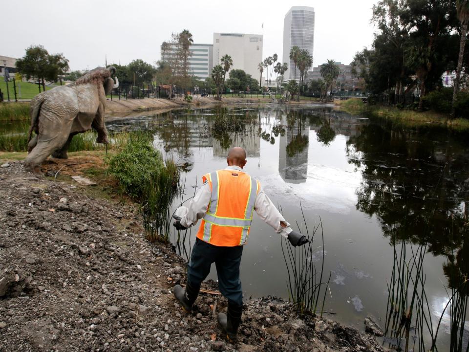 A man in a bright orange vest stands near Lake Pit at the La Brea Tar Pits with a model of a mastodon nearby