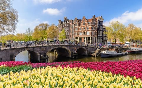 National Tulip Day amsterdam - Credit: istock