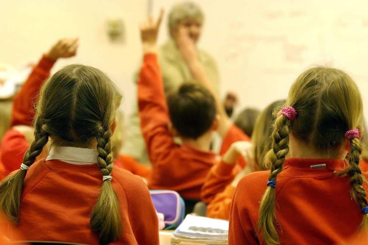 Parents were left ‘devastated’ after they were offered a version of a primary school class photo with children with ‘complex needs’ removed (stock image)   (PA Archive)