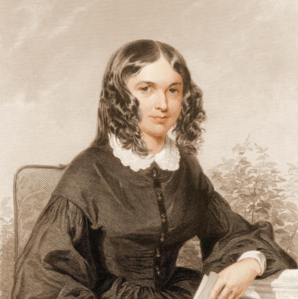 The book relates Elizabeth Barrett Browning’s night-time battles with gnats: 'I will gnat sleep in that room again…'