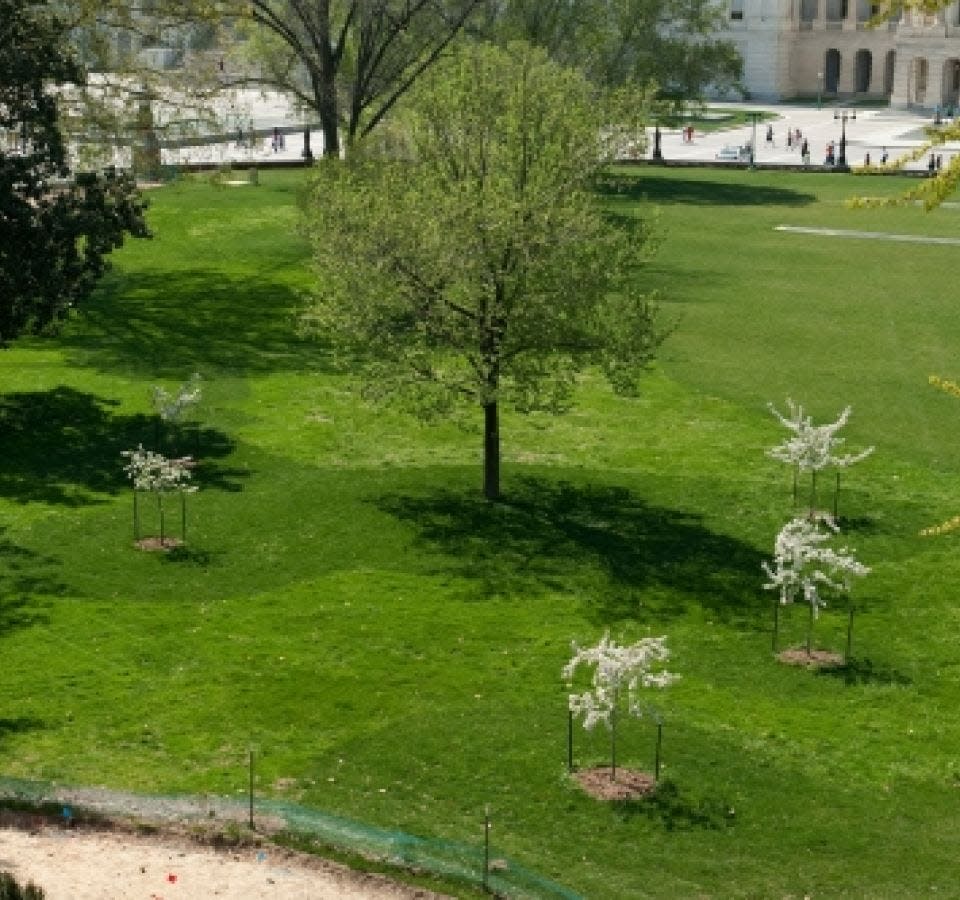 The memorial for the Sullivan brothers, who died in combat together in November of 1942. The memorial is located on the grounds of the U.S. Capitol.