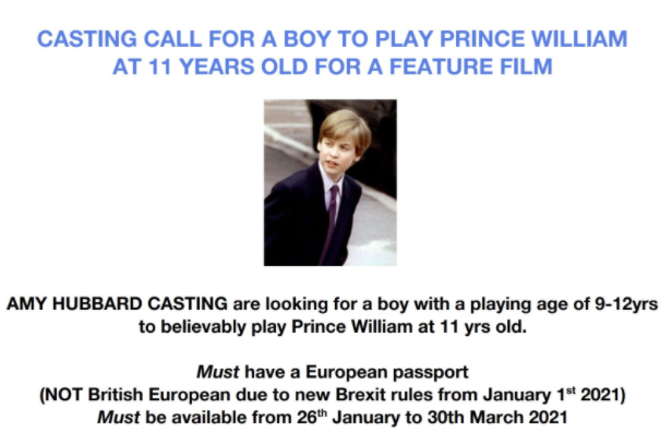 <p>The Prince William casting call announcement was posted on Twitter</p>Twitter