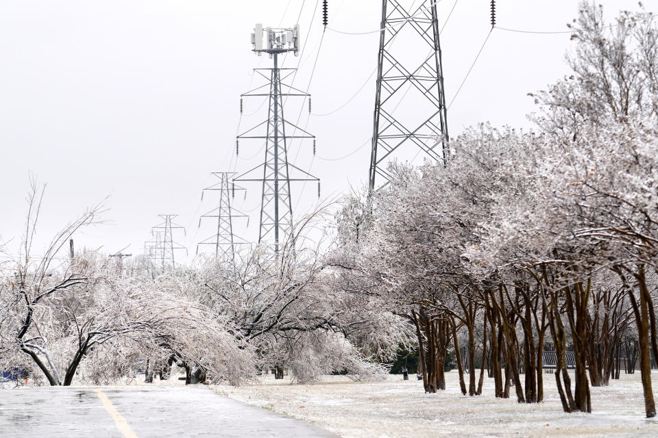 An iced over pedestrian walkway is lined by trees that are covered with ice from a few days of sleet and rain, Thursday, Feb. 2, 2023, in Dallas. (AP Photo/Tony Gutierrez)