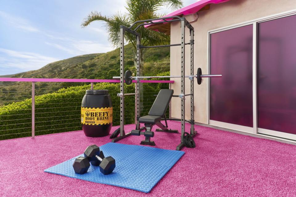 barbie dreamhouse gym