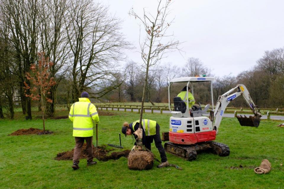 The Bolton News: Los árboles fueron plantados para conmemorar el Jubileo de Platino, la Coronación del Rey y los 150 años de gobierno local en Horwich