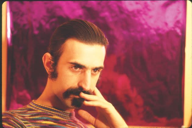 Frank-Zappa-Funky-Nothingness-Cover-Shot-By-John-Williams - Credit: John Williams