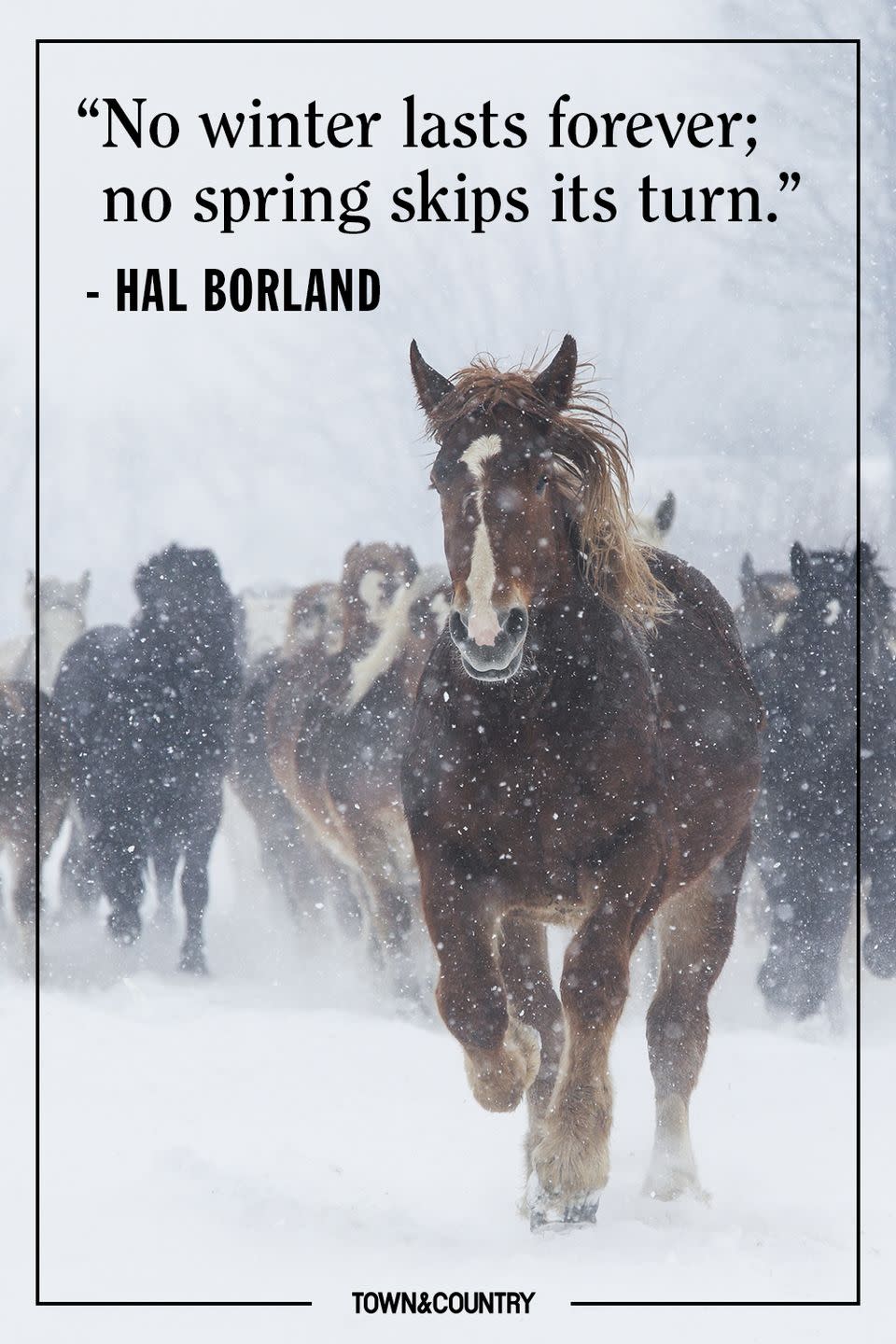 <p>"No winter lasts forever; no spring skips its turn." </p><p><em>- Hal Borland</em></p>