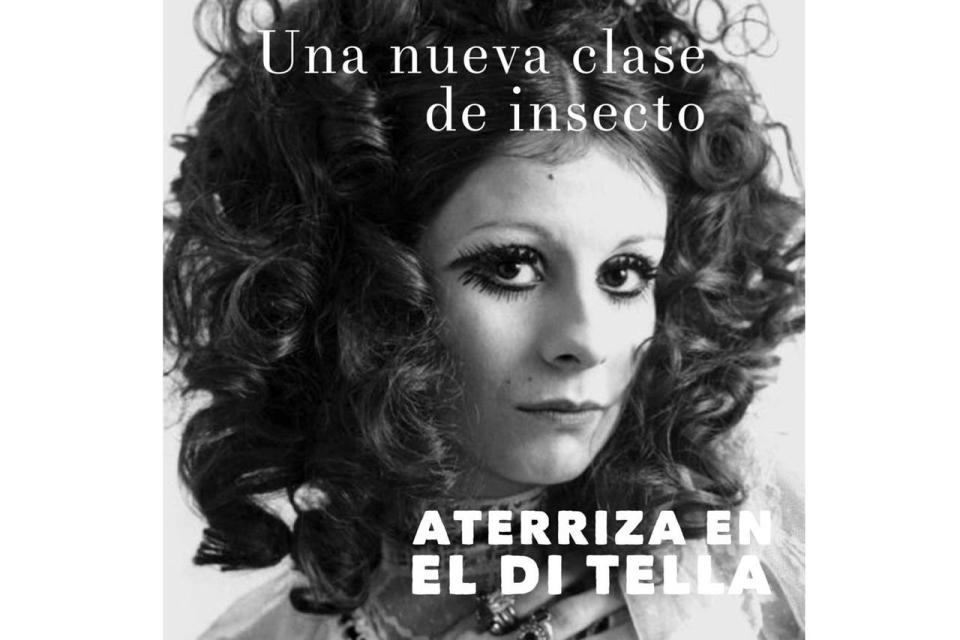 En los tiempos iniciáticos del Instituto Di Tella, la irreverencia de Nacha generaba la ira de los críticos de arte conservadores