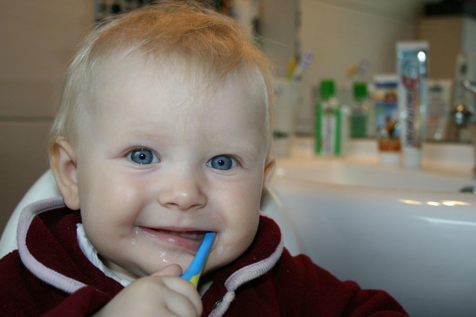 <p>La Sociedad Española de Odontopediatría recomienda cuidar la higiene bucal de los bebés desde su nacimiento para eliminar las bacterias de las encías. Sí, aunque todavía no le hayan salido sus primeros dientes. (Foto: <a rel="nofollow noopener" href="https://pixabay.com/" target="_blank" data-ylk="slk:Pixabay;elm:context_link;itc:0;sec:content-canvas" class="link ">Pixabay</a>). </p>