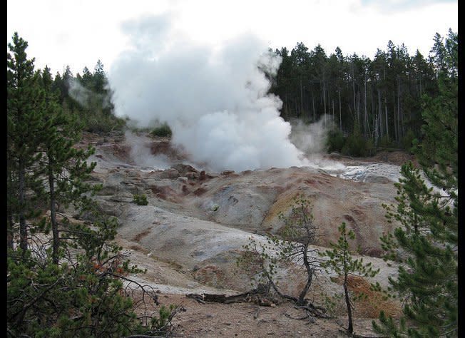 When Steamboat Geyser erupts, it can rocket a column of scalding water 90 - 120 meters into the air -- two to three times the average height of Old Faithful. (Travis S., Flickr)