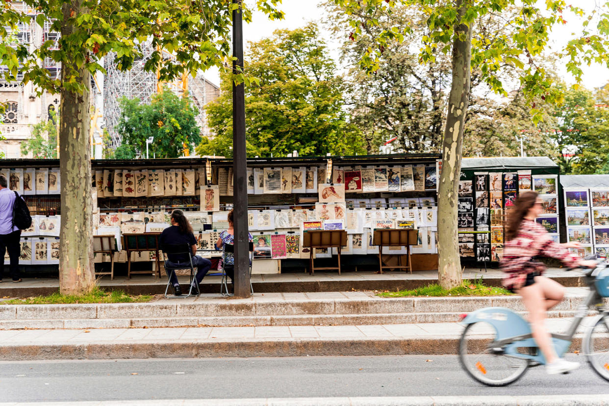 Stalls of bouquinistes, booksellers of used and antiquarian books along the banks of the Seine, Paris city centre, France (Alex Mastro / Alamy Stock Photo)