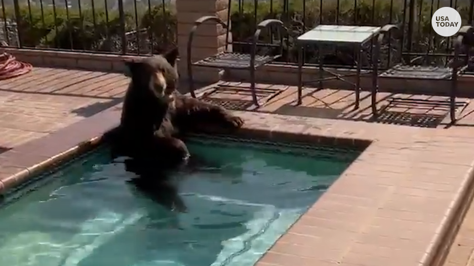 USA TODAY columnist Rex Huppke, in his pool.